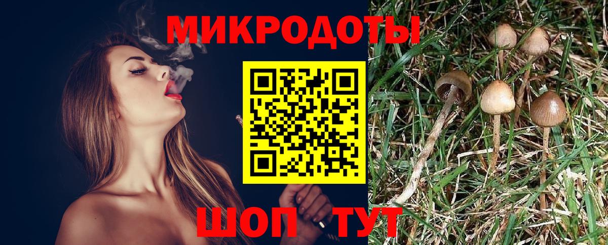 Галлюциногенные грибы Magic Shrooms  Вход с VPN  Надым  Галлюциногенные грибы MAGIC MUSHROOMS 