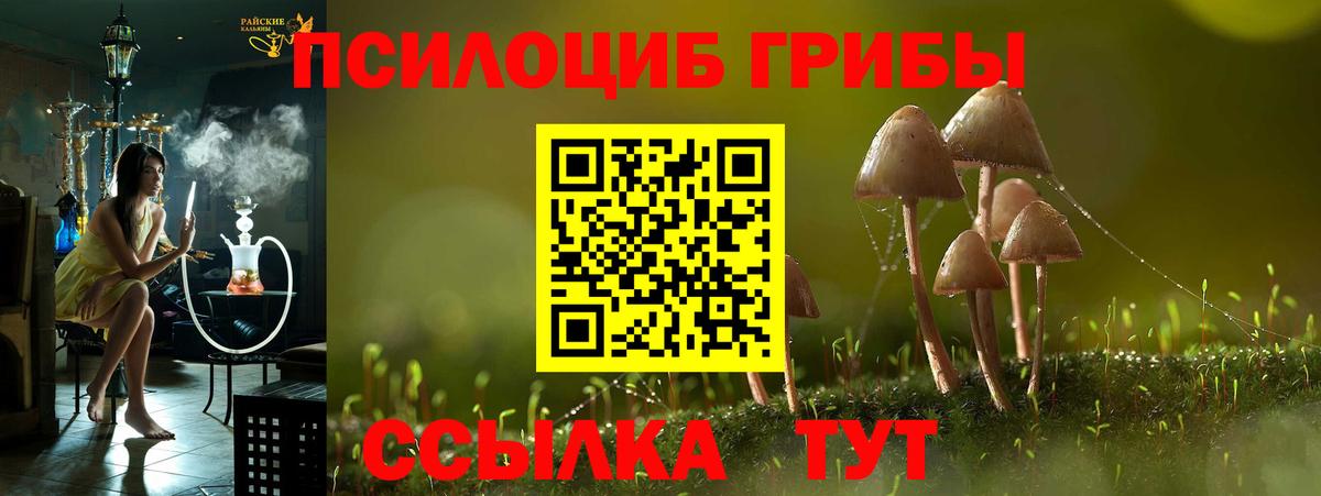 Галлюциногенные грибы мухоморы Надым